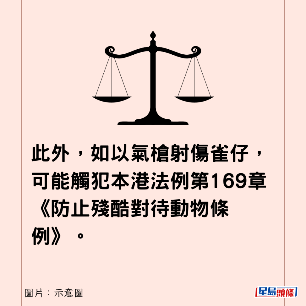 此外，如以气枪射伤雀仔，可能触犯本港法例第169章《防止残酷对待动物条例》。