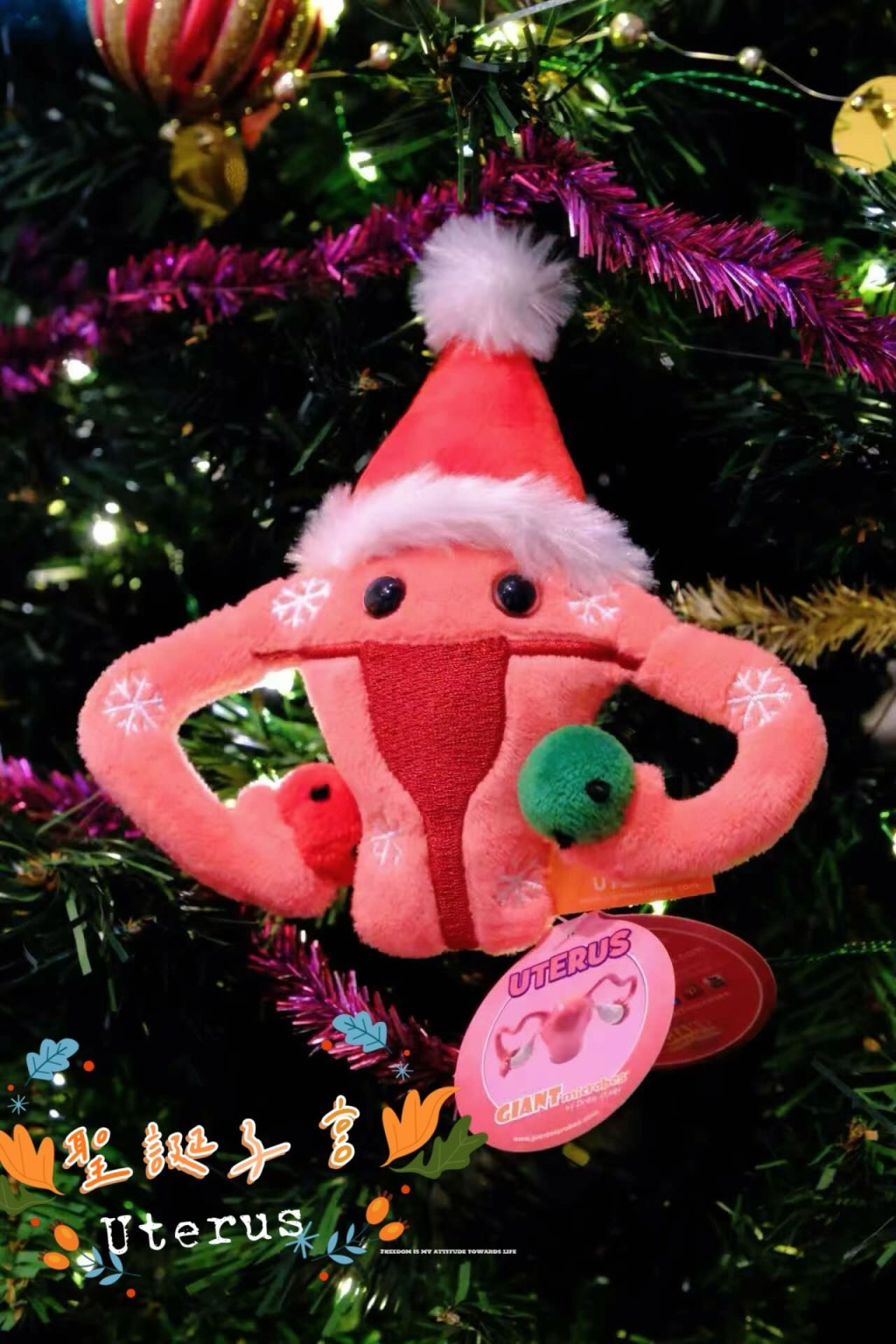 (圖片來源:Threads@香港醫學博物館) (圖片來源:Threads@香港醫學博物館)