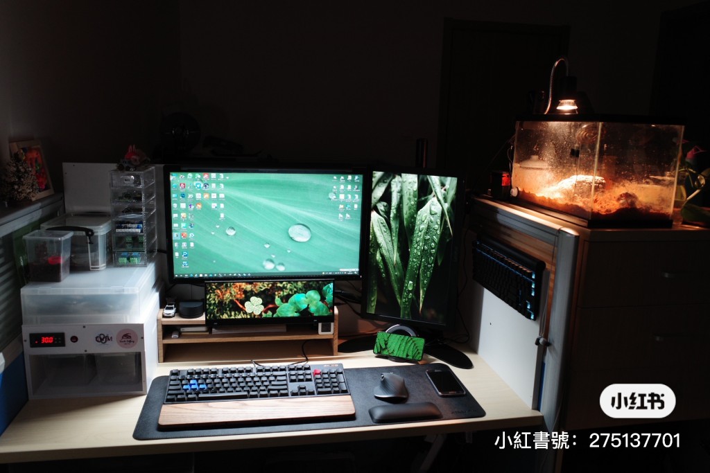 網民分享暗黑系辦公桌。（圖片來源：小紅書@思維廣歡樂多）