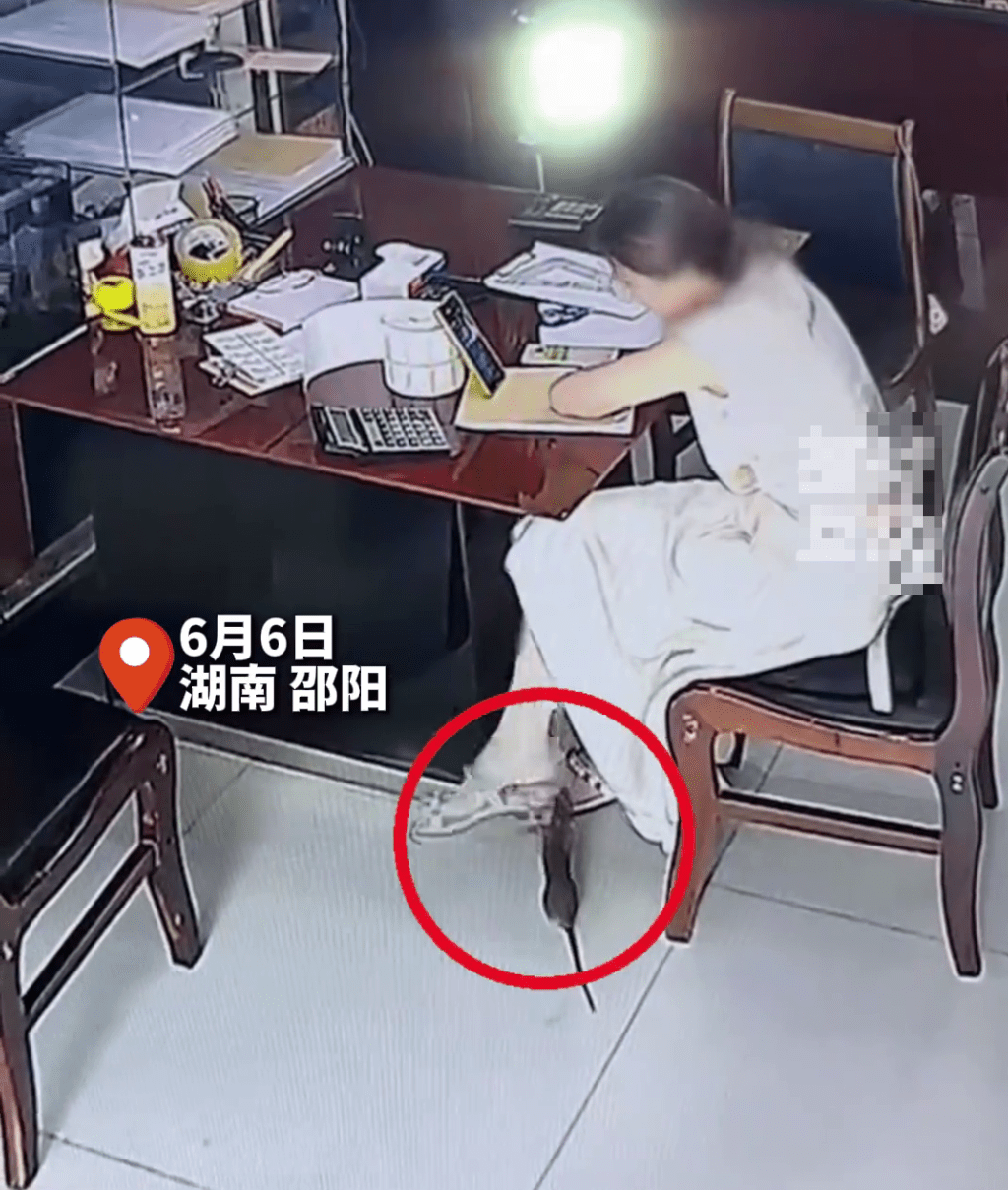 湖南女子專註工作期間遭老鼠偷襲咬腳「彈起」。 千里眼