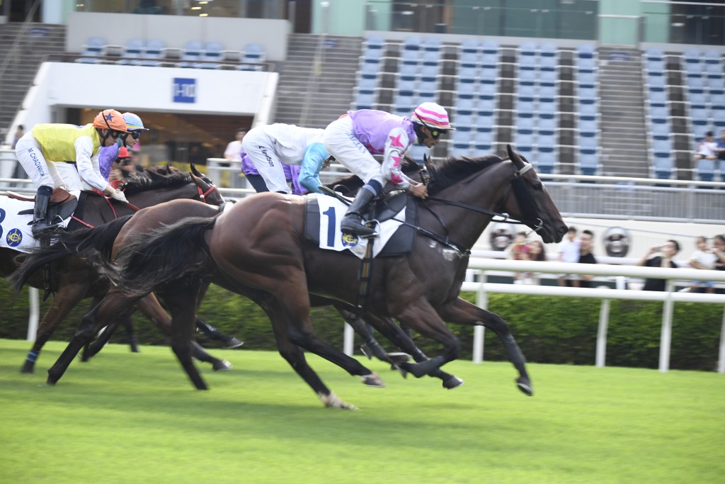 如果「久久為尊」今戰取勝，可為這位靚太帶來頭馬喜悅。