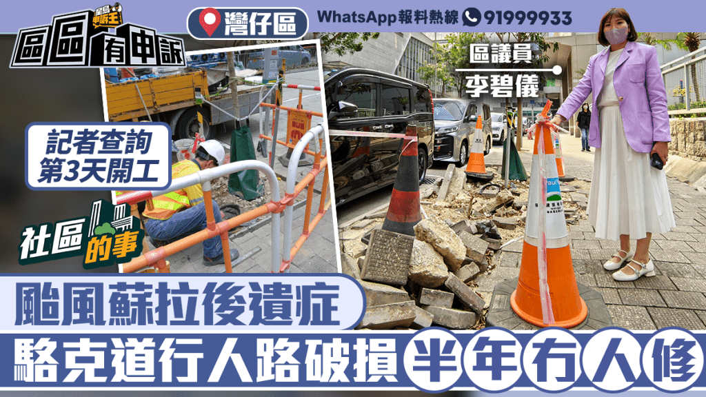 社區的事｜颱風蘇拉吹襲後遺症 塌樹損路磚半年未修 記者查詢第3天即動工