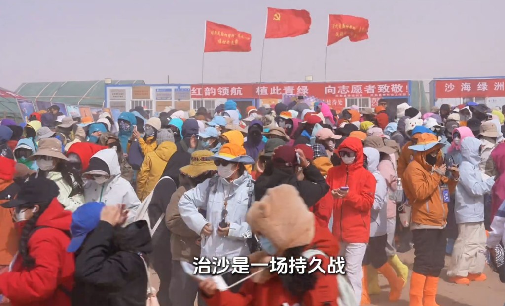 每年的民勤種樹活動，參加者也以女性義工為主。抖音＠小仲—沙漠變綠洲