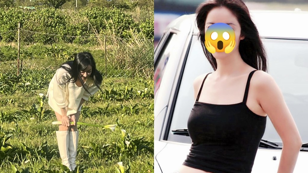 58歲港產片艷星大腸癌末期擴散至腹膜    劇痛瀕死醫生提供兩個選擇