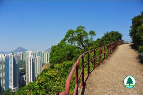 沿途以石屎路為主，有少量斜路、樓梯及樹蔭。（圖片來源：漁農自然護理署）