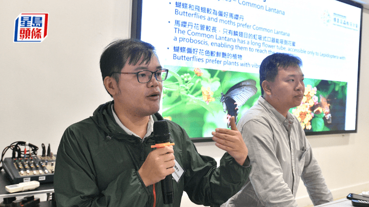 香港戶外生態教育協會舉行「環境及自然保育基金資助 傳靠昆蟲教計劃」成果發佈會。盧江球攝。