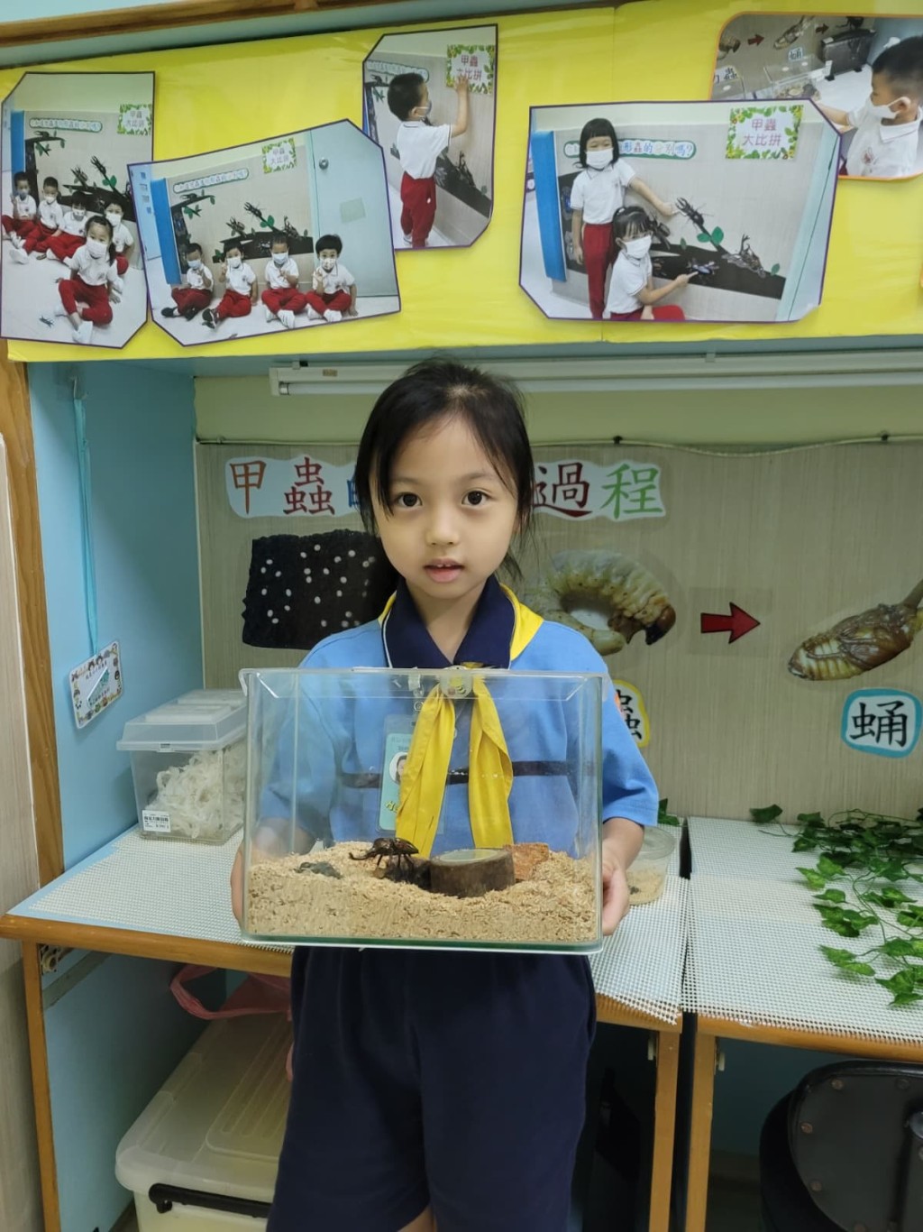 學生透過學習照顧甲蟲，學會從小尊重生命。