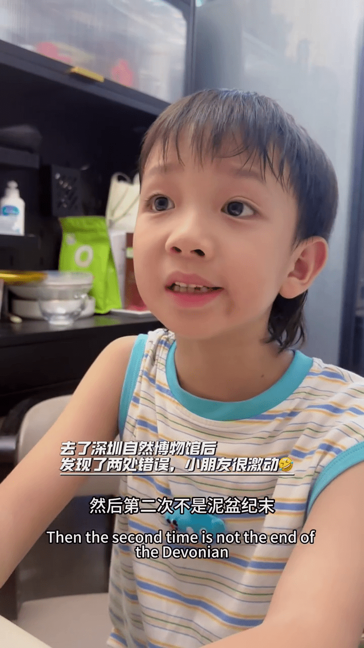 7岁醒目男童点出深圳自然博物馆两大“虾碌”。 小红书