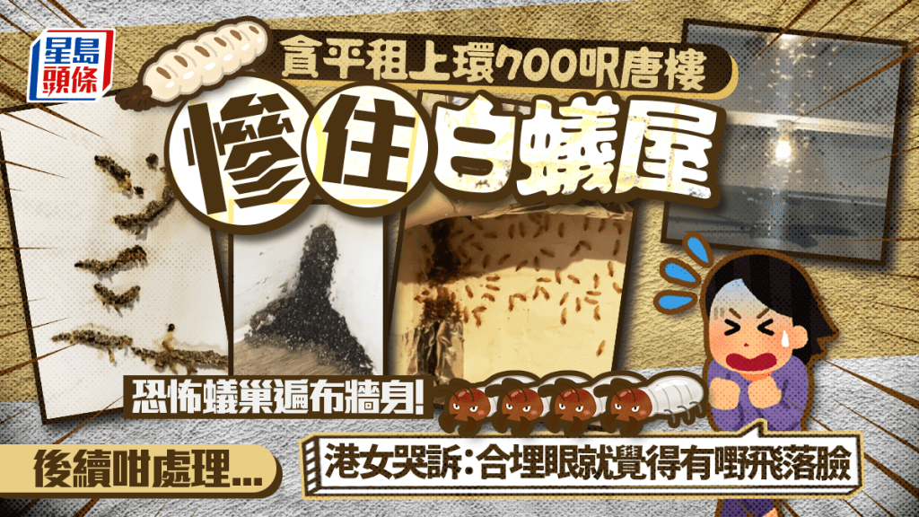 港女「貪平」租上環唐樓 慘住白蟻屋!恐怖蟻巢遍布牆身 哭訴:合埋眼就覺得有嘢飛落臉