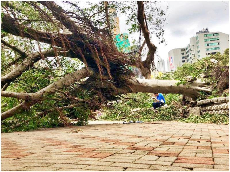 2018年在香港受超强台风山竹吹袭，造成交通瘫痪。