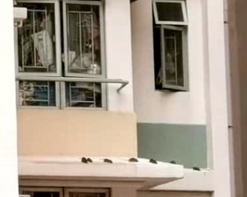 有網民於紅磡邨外，牆驚見一群「老鼠群組」爬行。FB圖片