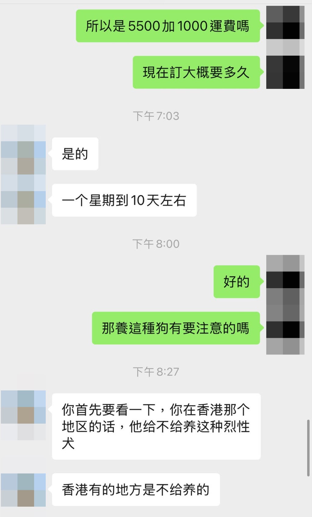 比特鬥牛㹴售價連運費6500元人民幣,賣家稱可直送香港。 比特鬥牛㹴售價連運費6500元人民幣,賣家稱可直送香港。