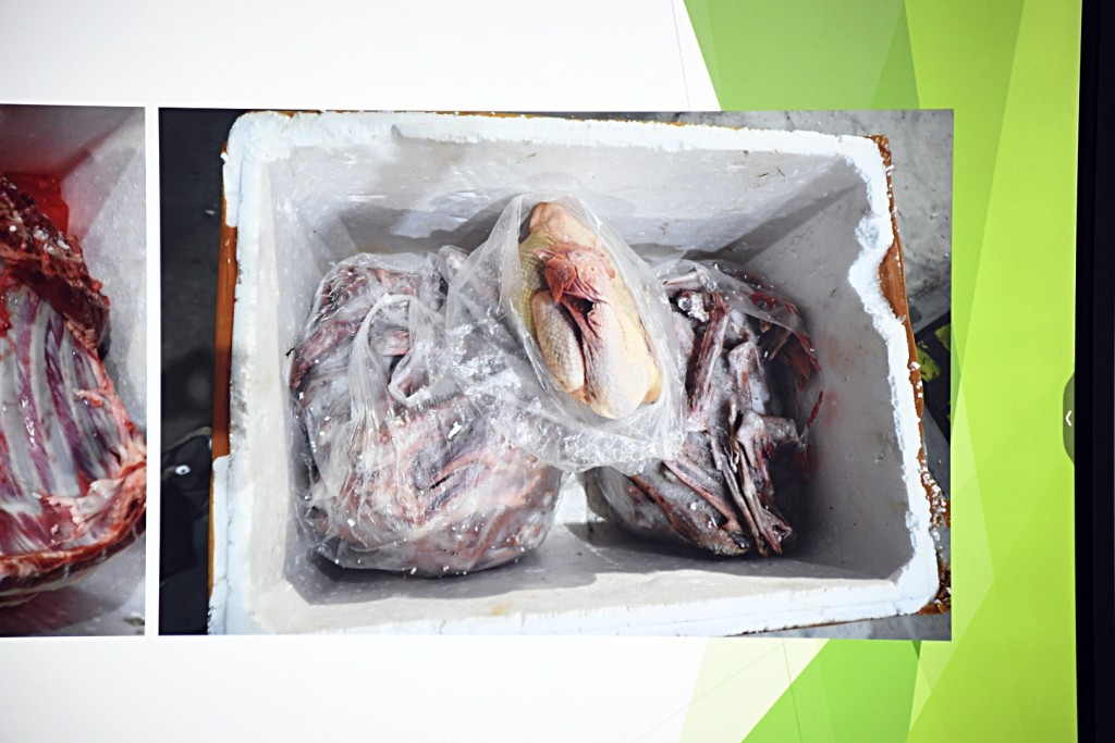 行動中起獲的走私凍肉。