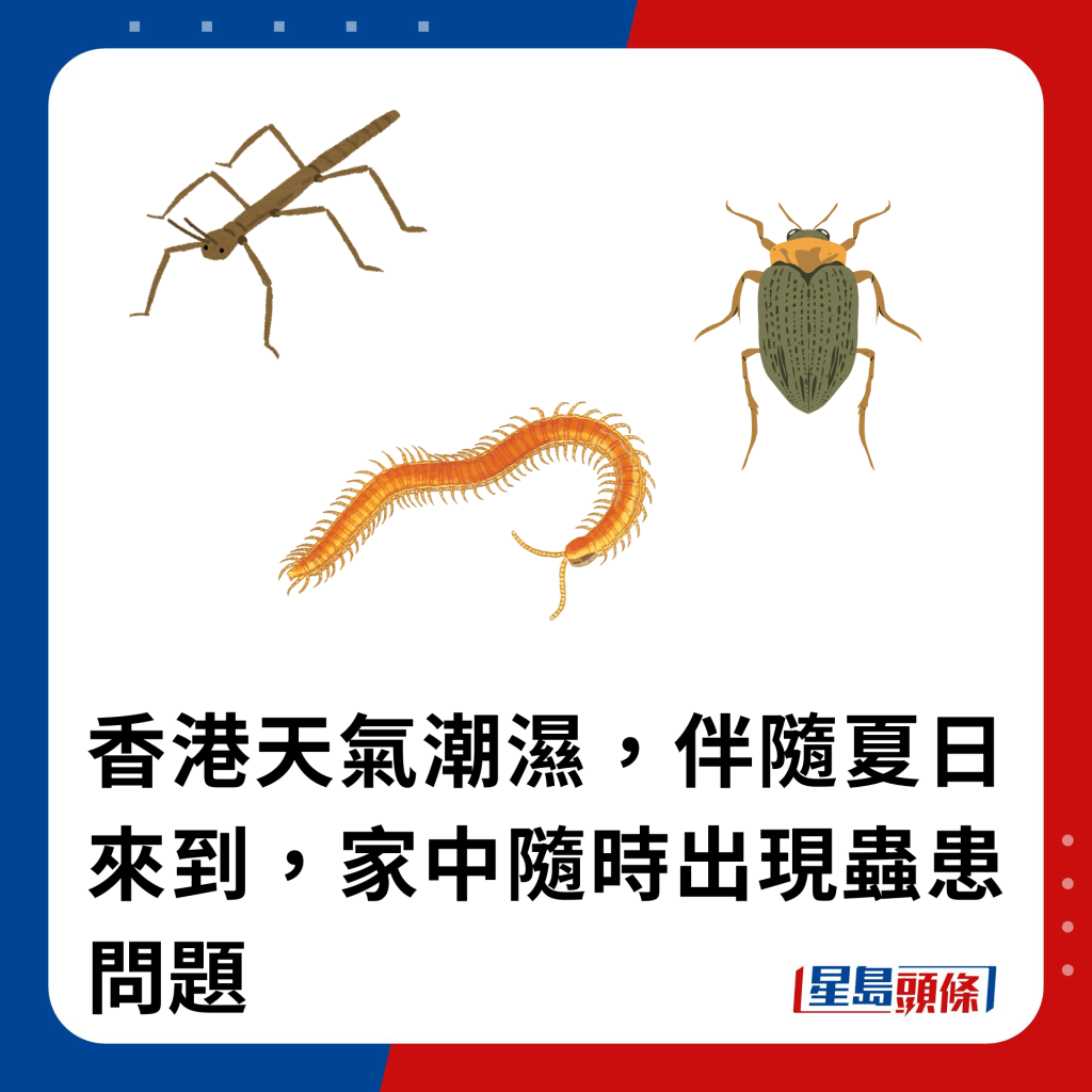 香港天氣潮濕，伴隨夏日來到，家中隨時出現蟲患問題。