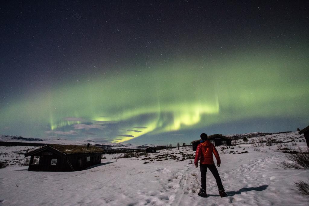 張偉賢在格陵蘭考察時，半夜遇上極光。 受訪者提供