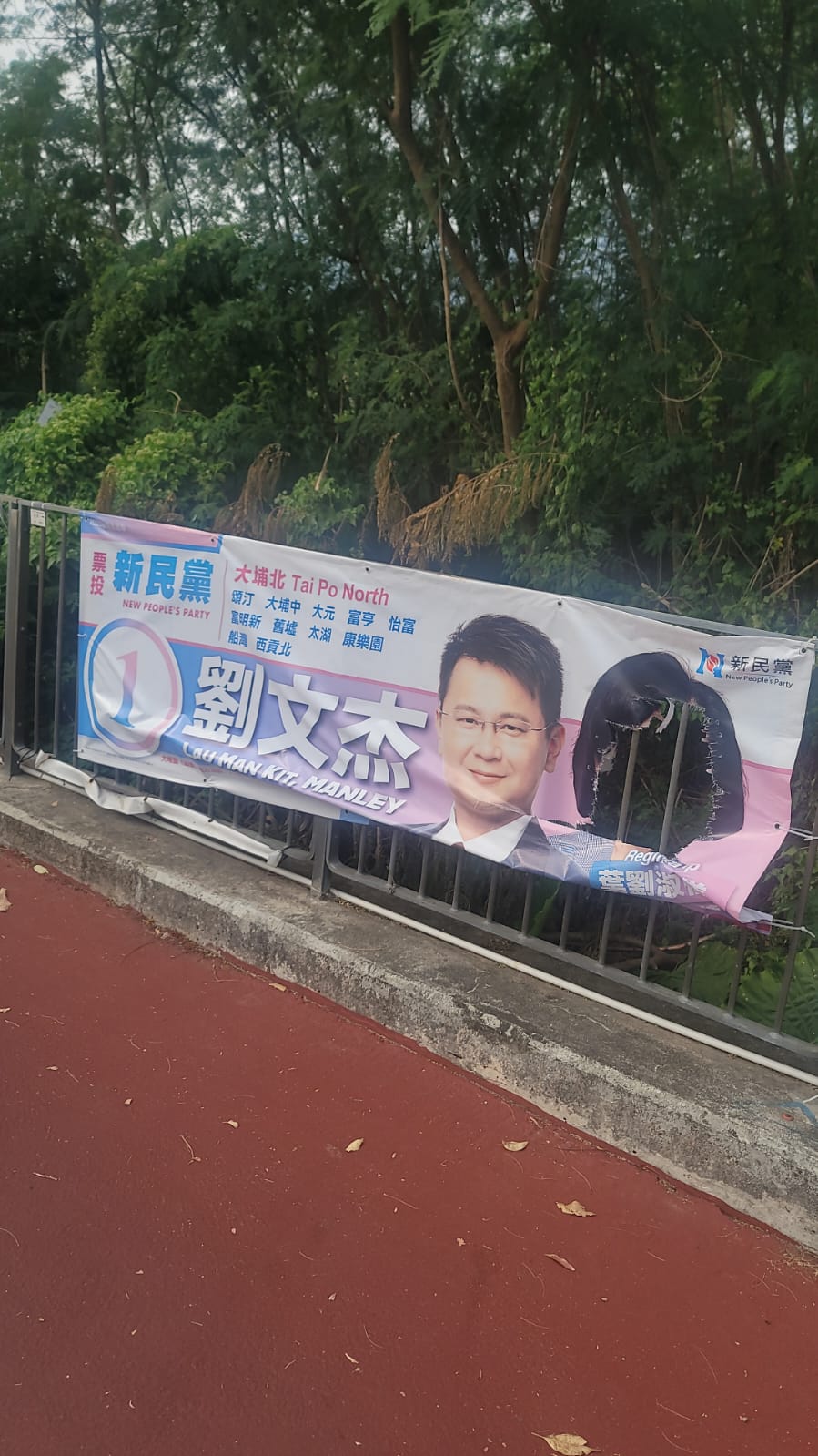 新民黨主席葉劉淑儀的相片面部已被挖空。新民黨提供
