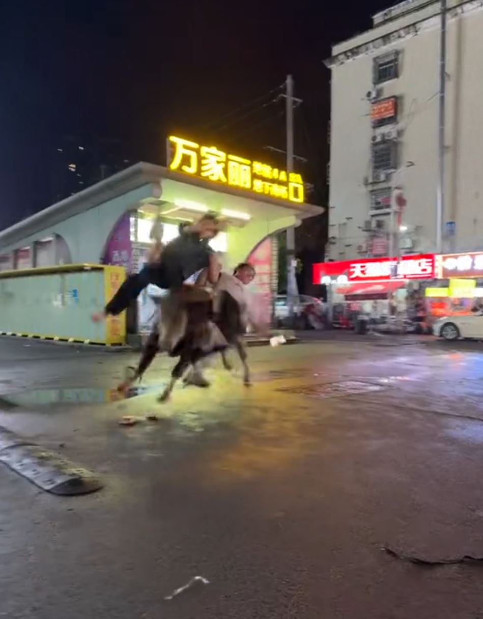 湖南長沙地鐵口有黃牛受驚狂奔，3名途人遭撞到飛起。抖音