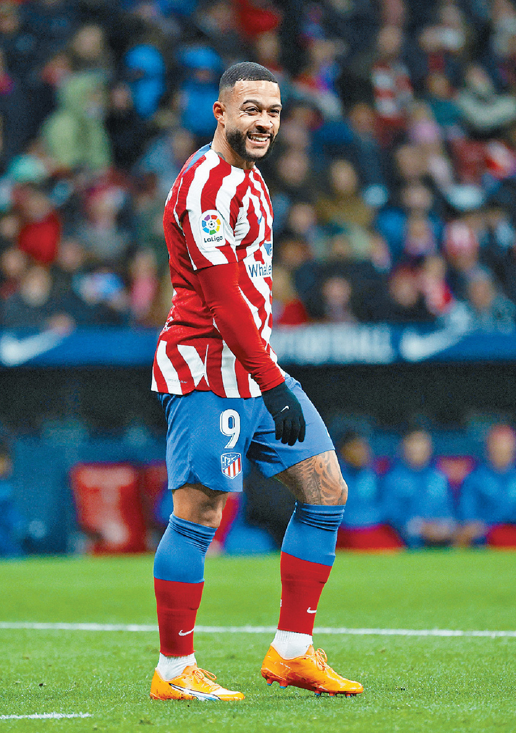 馬體會前鋒
迪比