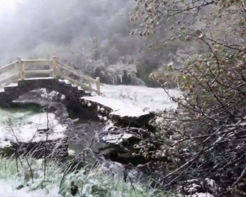 重慶城口黃安壩凌晨開始,亦迎來降雪。(網圖)