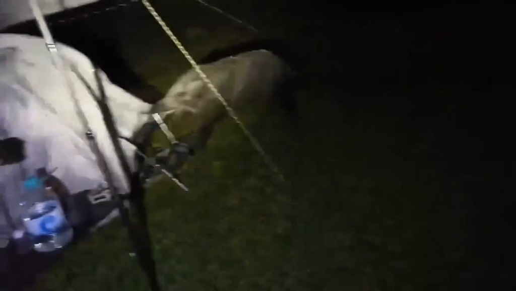 Threads截圖(資料來源:szewai_li@Threads) Threads截圖(資料來源:szewai_li@Threads)