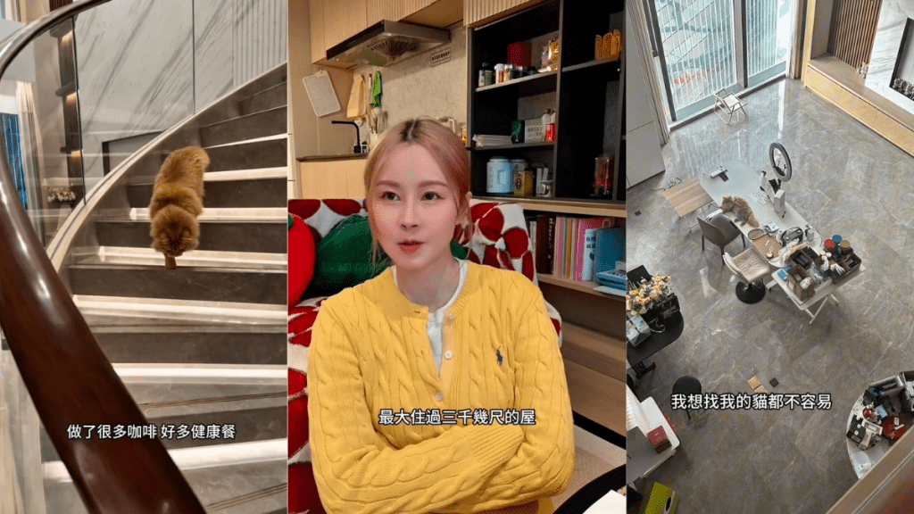 傅颖新居开箱网民哗然  单位间格全公开面积大缩水 畅谈奢华豪宅搬蜗居感想