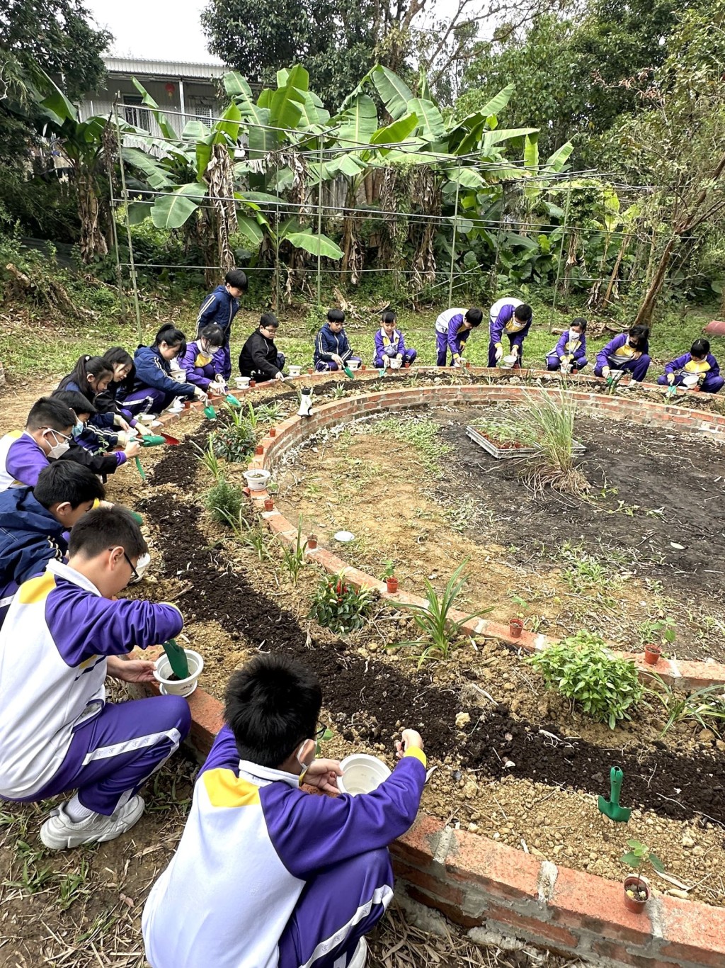 通过户外农庄体验和课堂活动，认识植物性饮食对身体和环境的好处。