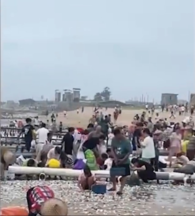 海滩上人头涌涌。网图