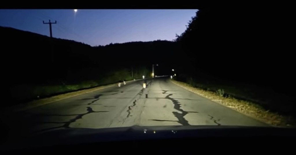 吉林一修車師傅夜遇虎群，一大四小在路上蹦跳。