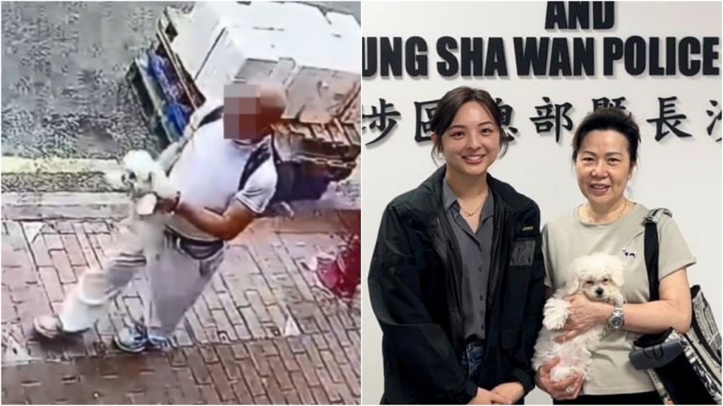 深水埗比熊犬被抱走|熱心市民誤當小狗被遺棄 帶走細心照顧惹虛驚