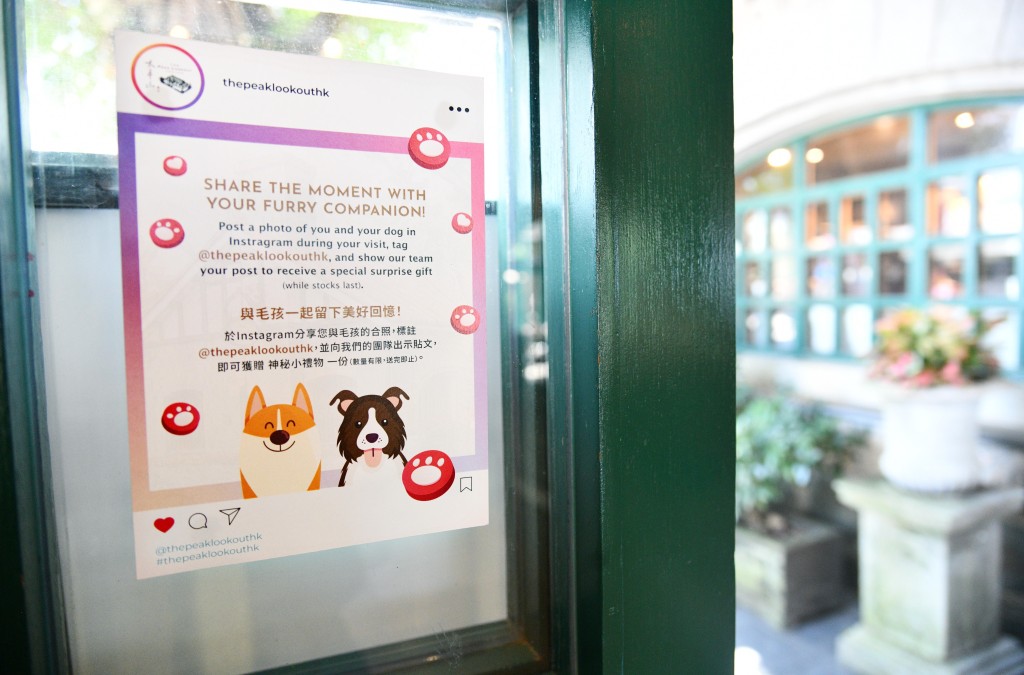 「狗隻友善食肆」政策下，不可以讓狗狗接觸到餐枱面，及要穩妥繫好牽引繩。