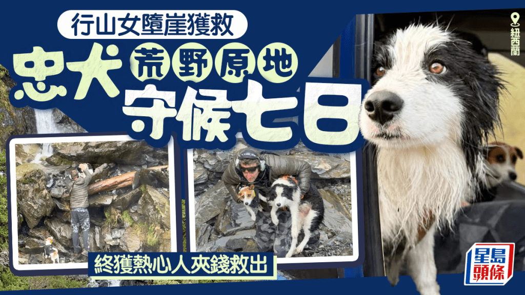 陌生人參與眾籌讓直升機公司得以拯救莫莉（Molly）。 Precision Helicopters