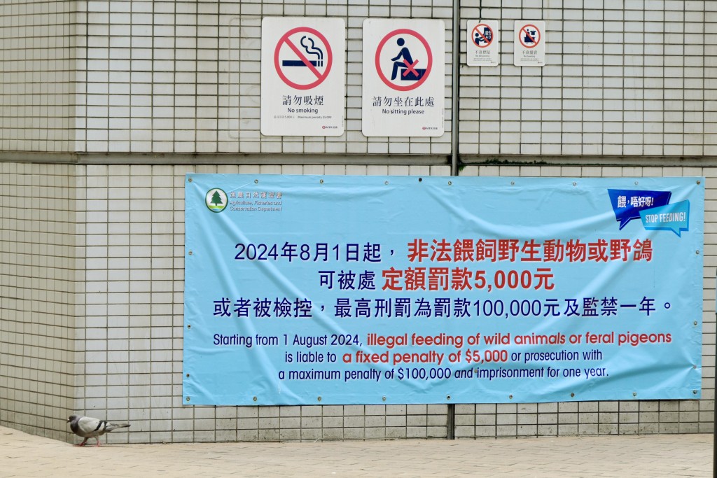 非法喂饲野生动物（包括野猪、猴子及野鸟）可被处定额罚款5000元或者被检控，最高刑罚为罚款10万元及监禁一年。