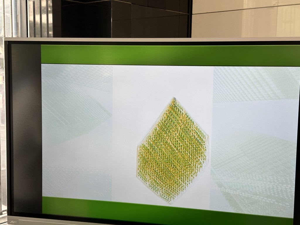 X光影像显示货物为一批排列整齐、呈橙绿色的粒状物品。海关提供