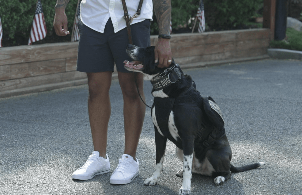示意圖