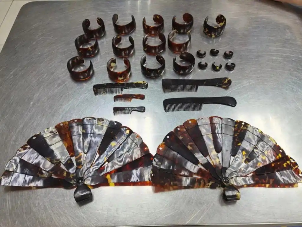 深圳灣海關在旅檢進境渠道查獲瀕危玳瑁製品26件,共重451克。 深圳灣海關在旅檢進境渠道查獲瀕危玳瑁製品26件,共重451克。