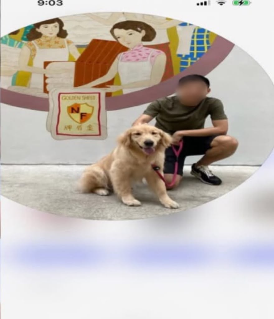 被指是姦夫的羅姓男子，有傳是一名體育老師。（受訪者提供）