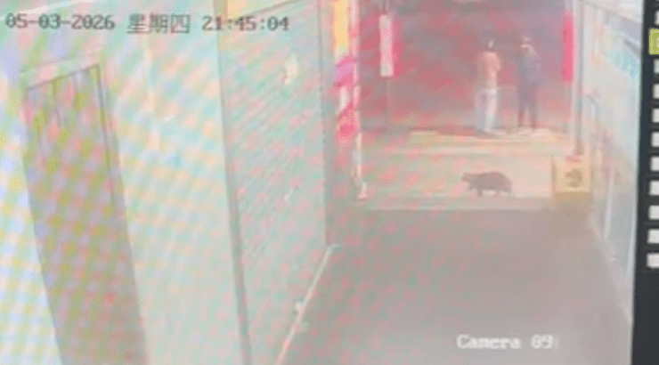 根據閉路電視紀錄，昨晚約9時45分，「阻B」往太子方向行走後便失去蹤影。