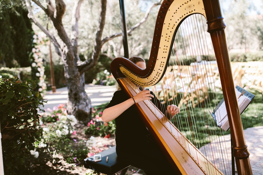 豎琴 （Harp）