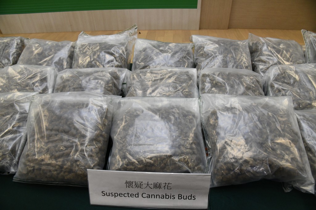 海關檢獲約35公斤懷疑大麻花,估計市值共約730萬元。 海關檢獲約35公斤懷疑大麻花,估計市值共約730萬元。