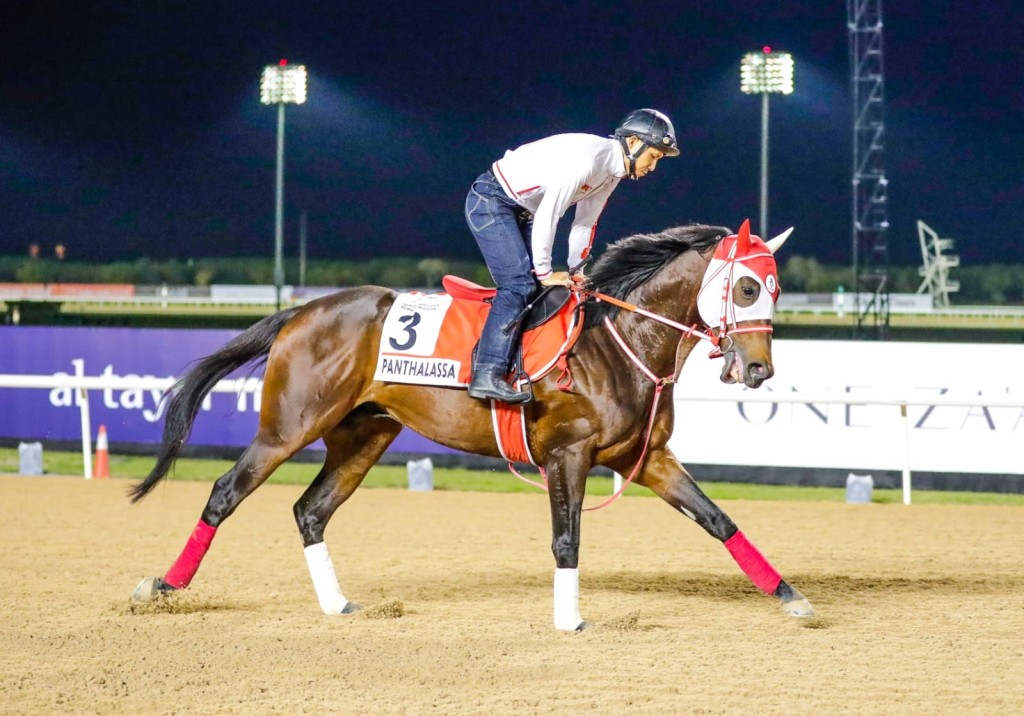 「本初之海」在杜拜世界杯只跑第十。