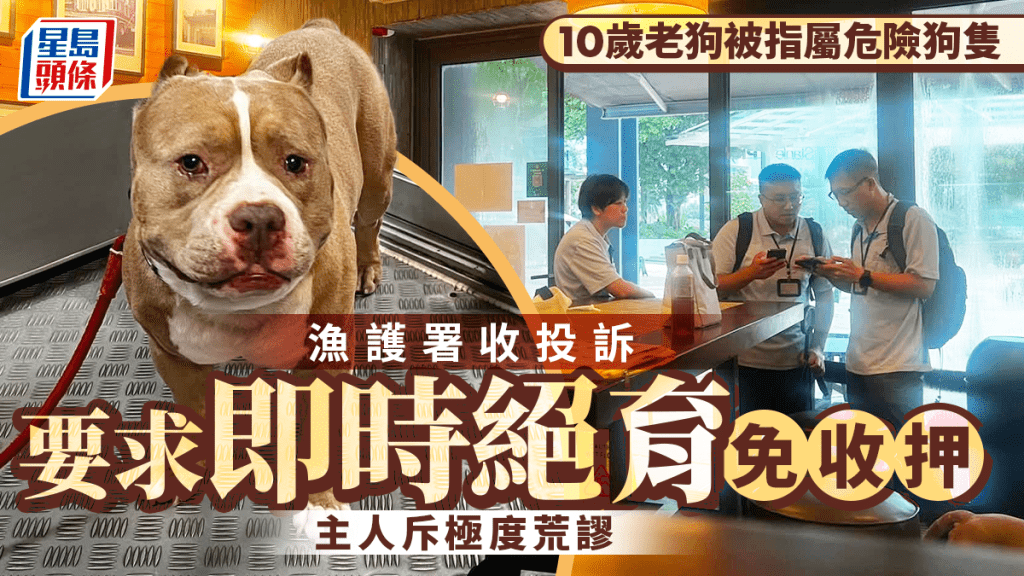 10歲老狗被指屬危險狗隻 漁護署收投訴要求即時絕育免收押 主人：極度荒謬