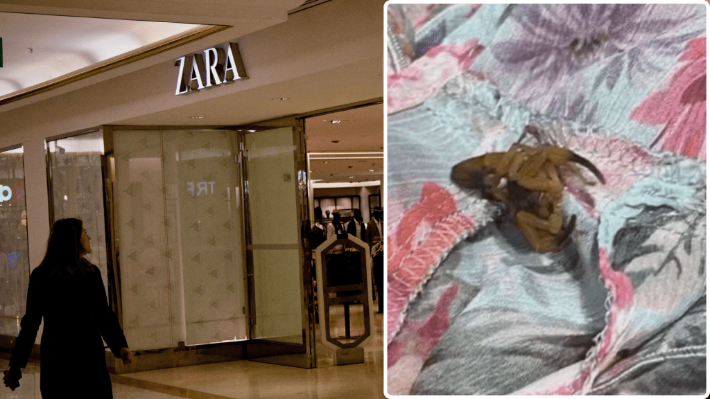 ZARA試衫驚見蠍子爬上腳 巴西女劇痛頭暈急送