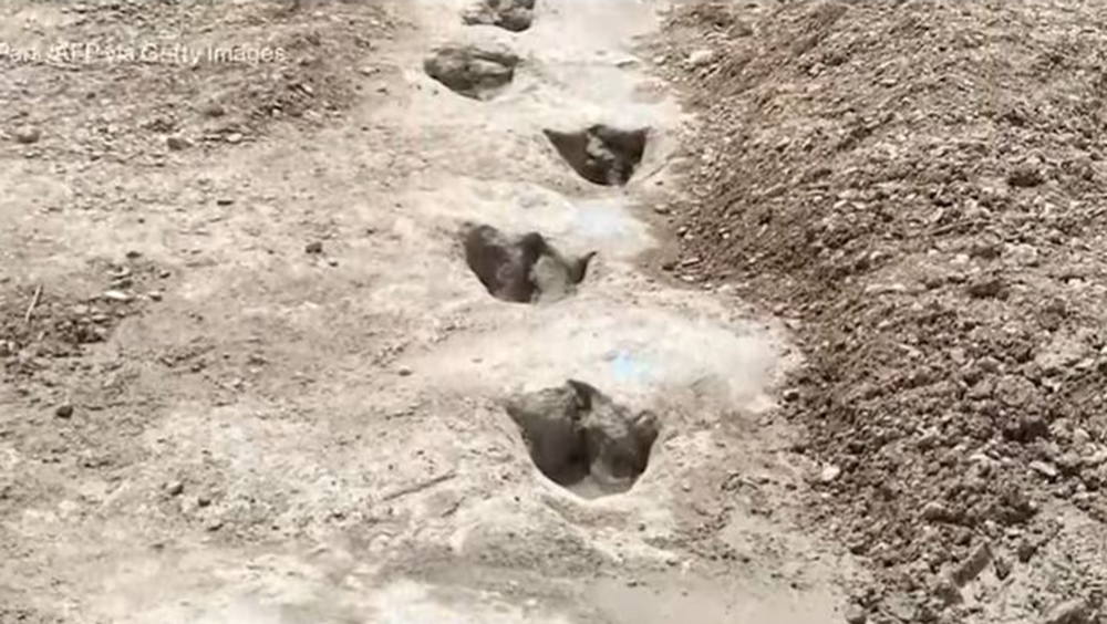 美国德州公园河流干涸，河床发现大量超过1亿年前的恐龙脚印。