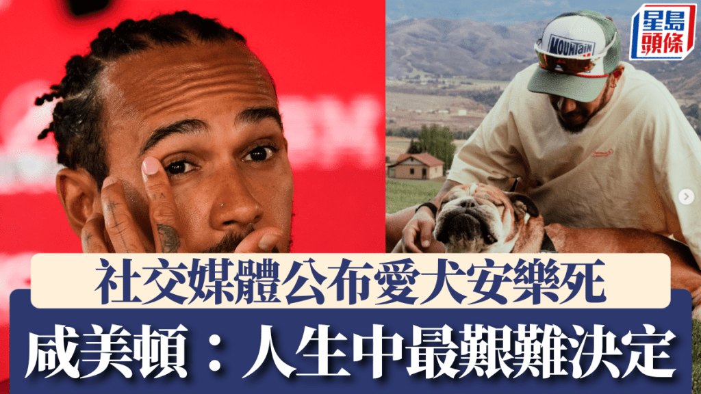 咸美頓社交媒體公布愛犬病世消息 直指是人生中最艱難決定。