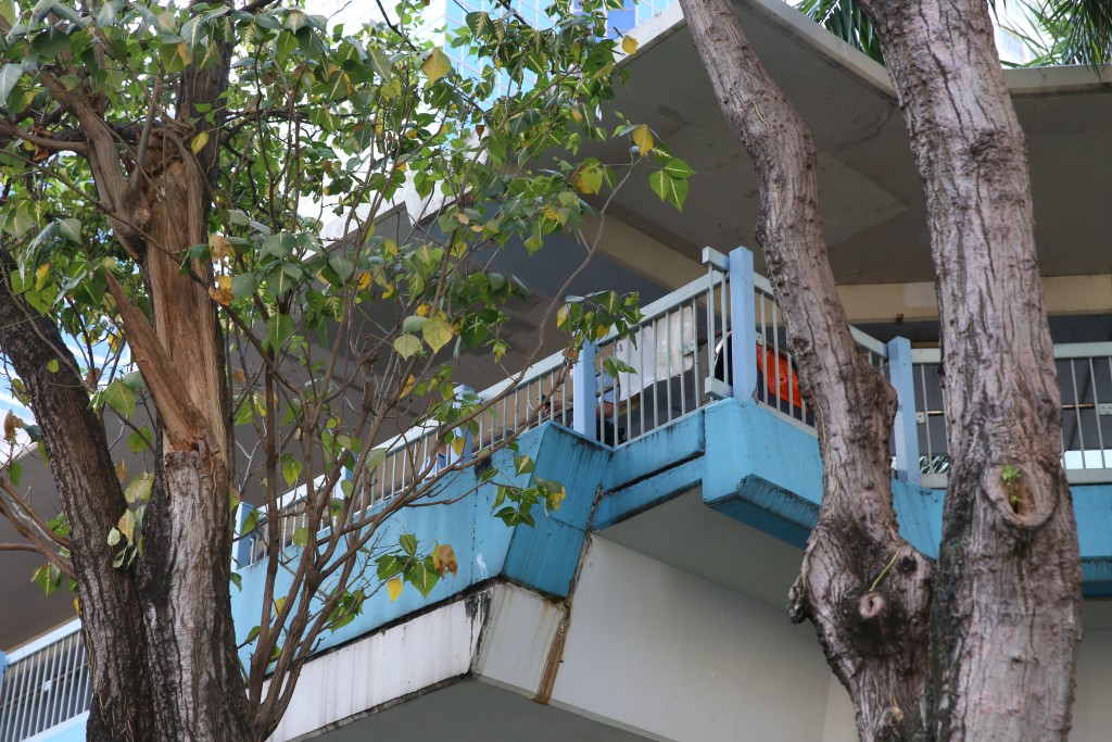 警員在場調查。劉漢權攝