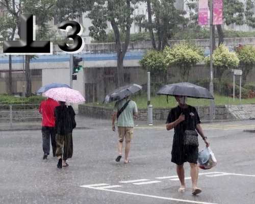 三號熱帶氣旋警告信號生效。資料圖片