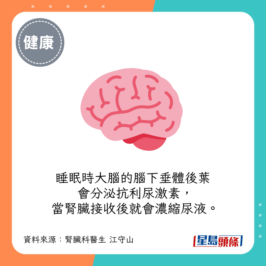 睡眠时大脑的脑下垂体后叶会分泌抗利尿激素，当肾脏接收后就会浓缩尿液。
