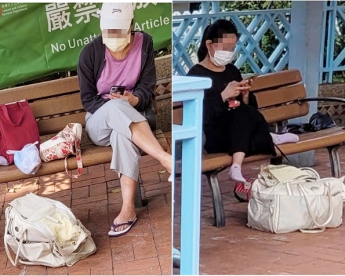 網民舉報有外傭放狗卻把狗困在寵物袋內。網民Wong Kwok圖片