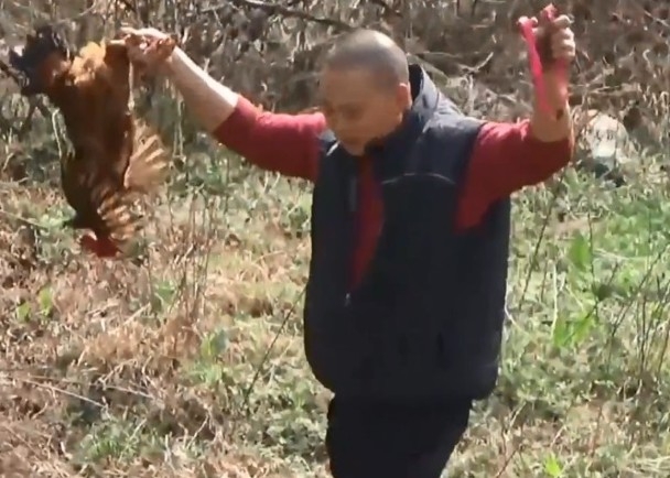 參加的遊客可取走射中的雞。(網圖)