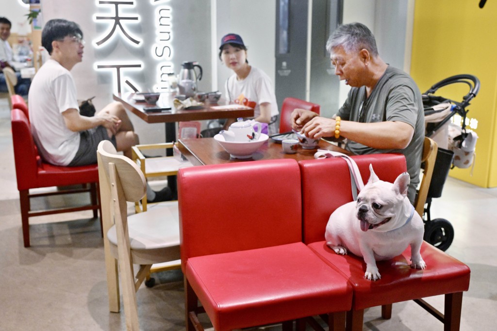 當中最多狗隻可進入的食肆是灣仔區，共有101間。